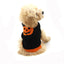 Pet Halloween Dog Knitted Pumpkin Sweater - Dog Hugs Cat