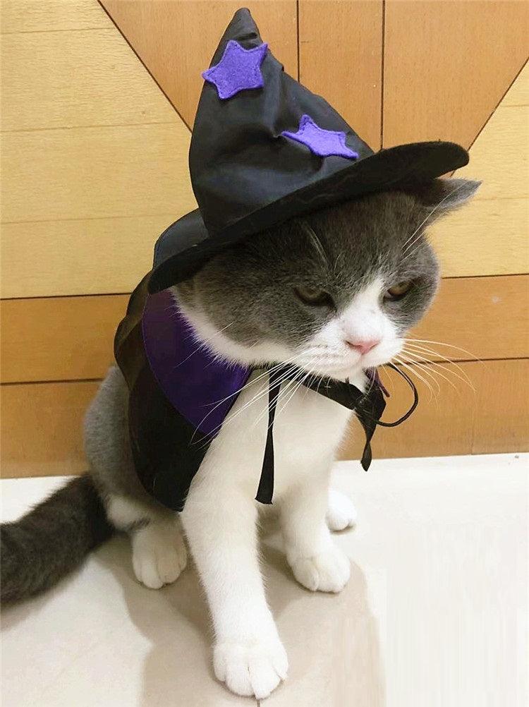 Pet Halloween Wizard Dressup Decoration Set - Dog Hugs Cat