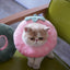 Elizabethan Circle Cat Shame Collar Cat Soft Cloth - Dog Hugs Cat