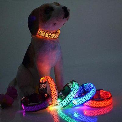 Led Dog Collar Safety Adjustable Nylon Leopard Pet Collar - Dog Hugs Cat