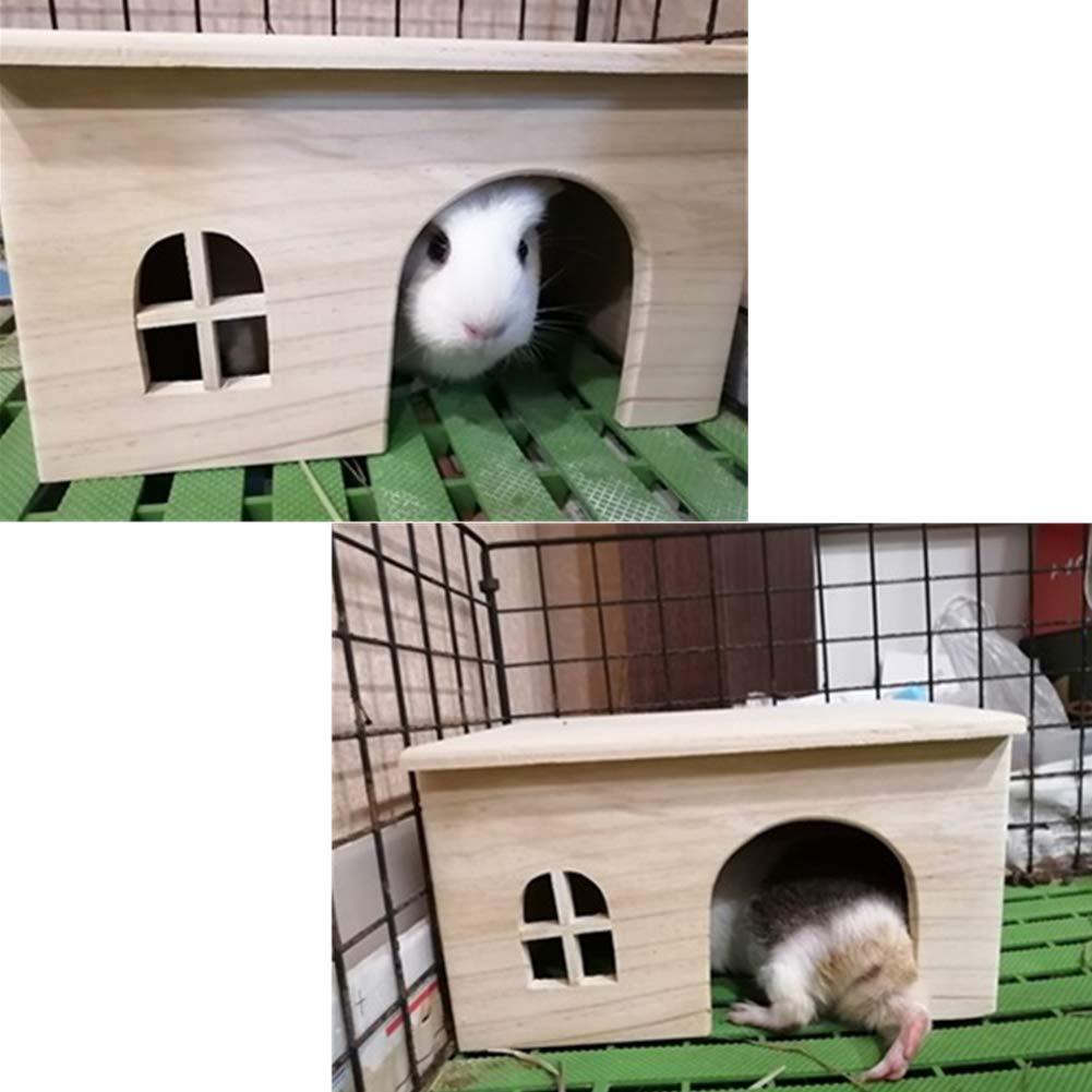 Hamster House In Spring And Summer - Dog Hugs Cat