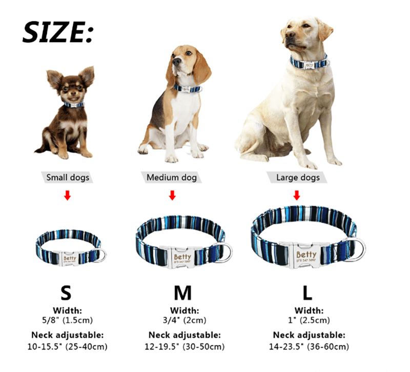Pet Supplies Dog Collar High Reflective Durable Comfortable Breathable Adjustable Night Reflection - Dog Hugs Cat