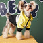 Dog Clothes Waterproof Raincoat Jacket - Dog Hugs Cat