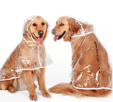 Waterproof Raincoat For Medium- Sized Dogs - Dog Hugs Cat