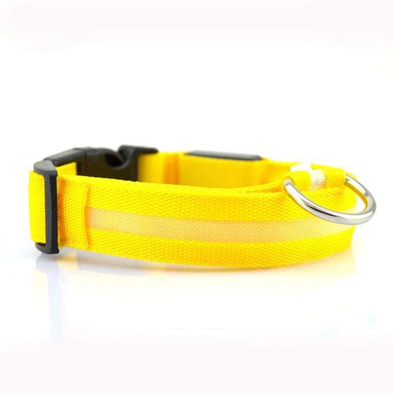 Led Pet Safety Collar - Dog Hugs Cat