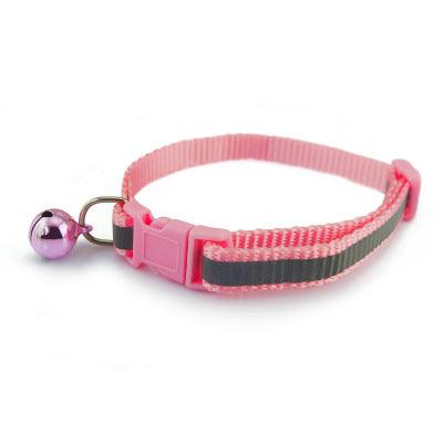 Fluorescent Dog Collar - Dog Hugs Cat