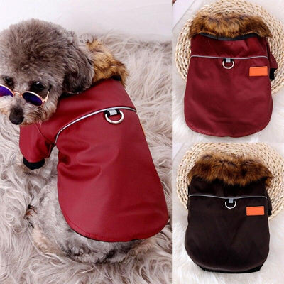 Reflective And Warm Pet Fur Coat With Fur Collar - Dog Hugs Cat