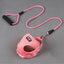 Dog Leash Dog Leash Dog Collar - Dog Hugs Cat