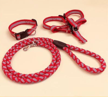 Pet Dog Leash - Dog Hugs Cat