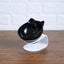 Non Slip Double Cat Bowl With Raised Stand Pet Food Cat Feeder Protect Cervical Vertebra Dog Bowl Transparent Pet Products - Dog Hugs Cat