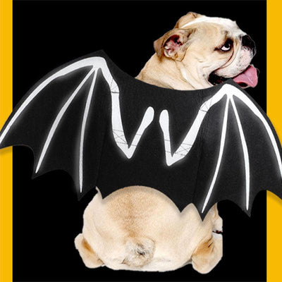 Dog Luminous Bat Wings Transformed Into Costumes - Dog Hugs Cat