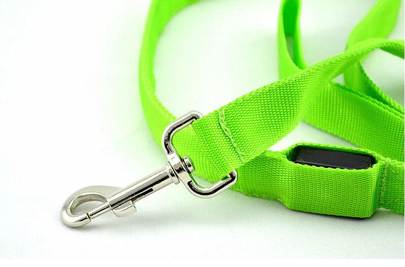 Glowing Pet Leash Glowing Dog Led - Dog Hugs Cat