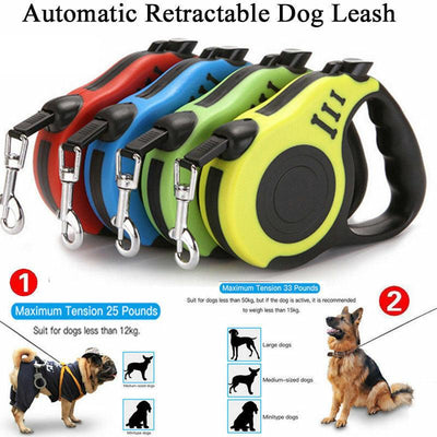 Automatic Retractable Dog Leash Pet Collar Automatic Walking Lead Freeleash - Dog Hugs Cat