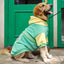 Large Dog Pet Clothes Apparel Sweater - Dog Hugs Cat