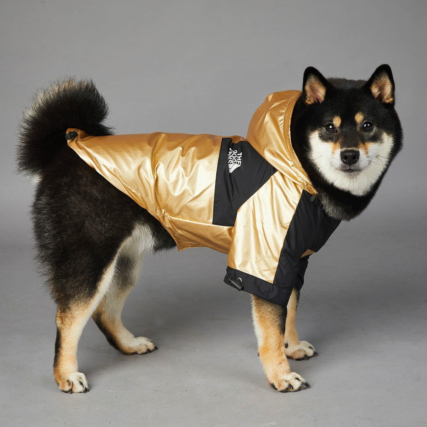 Dog Large Dog Raincoat Pet Jacket - Dog Hugs Cat