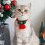 Teddy British Short Christmas Scarf - Dog Hugs Cat