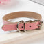 Leather Dog Collar Dog Chain - Dog Hugs Cat