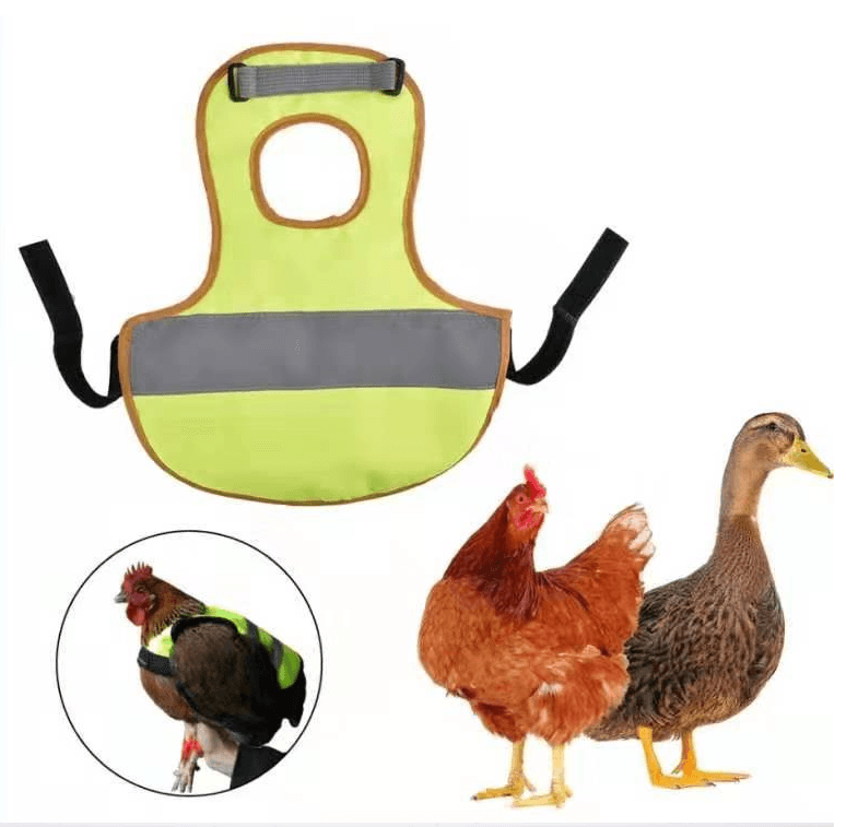 Chicken Reflective Vest - Dog Hugs Cat