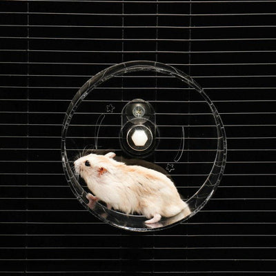 Acrylic Pet Running Wheel Hamster Fitness Running - Dog Hugs Cat