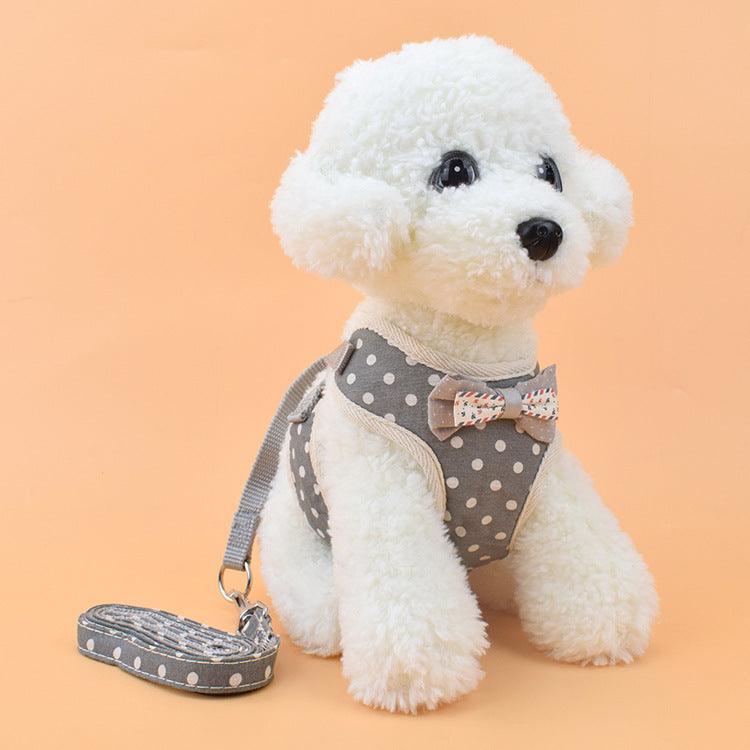 Dog Chest Strap Cat Leash - Dog Hugs Cat