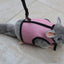 Small Pet Leash - Dog Hugs Cat