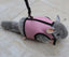 Small Pet Leash - Dog Hugs Cat