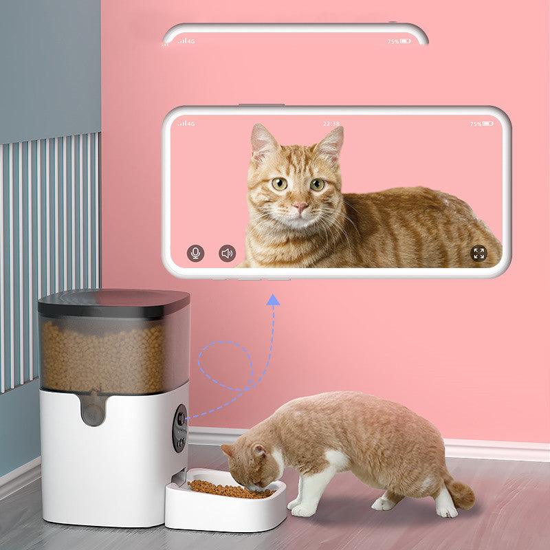 Intelligent Automatic Feeder - Dog Hugs Cat