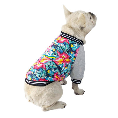 Pitbull Pet Dog Clothes Stretch Printed Two-Legged Clothes - Dog Hugs Cat