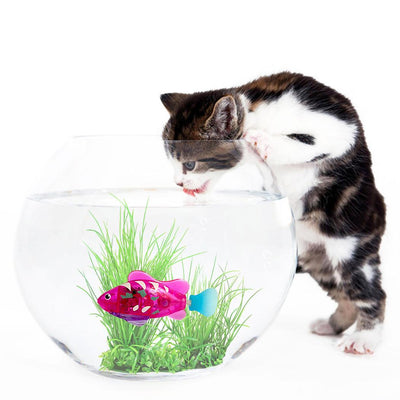 Pet Fish Electronic Cat Toys With Grass Led Light Toys - Dog Hugs Cat