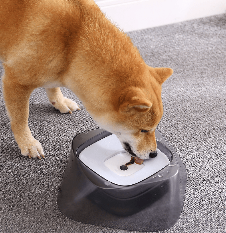 Pet Dog Bowl Floating Not Wetting Mouth Cat Bowl No Spill Drinking Water Feeder - Dog Hugs Cat