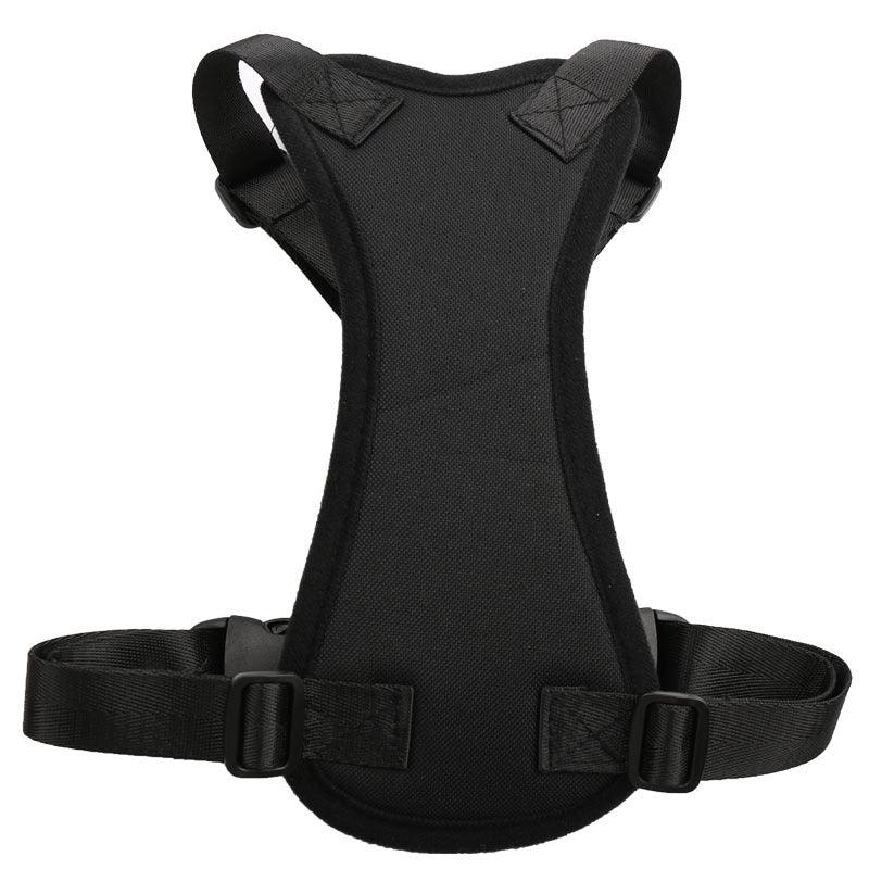 Car Seat Belts For Pets - Dog Hugs Cat