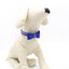 Rhinestone Bowknot Pet Collar Dog Collar Leash - Dog Hugs Cat