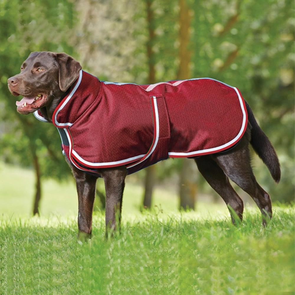 Autumn And Winter Warm Pet Leisure Waterproof Jacket - Dog Hugs Cat