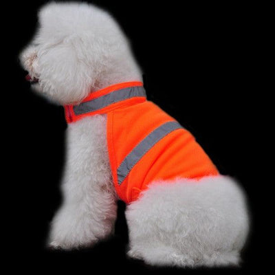 Fluorescent Safety Dog Vest - Dog Hugs Cat