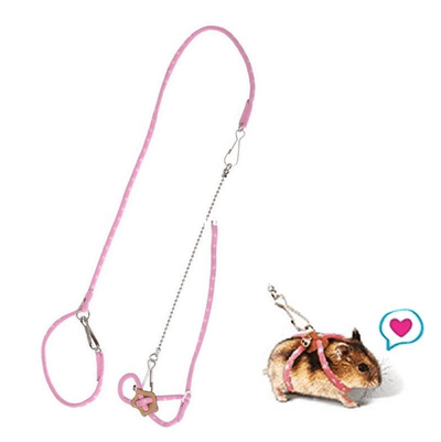 Training Traction Rope Hamster Supplies - Dog Hugs Cat