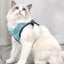 Cat Leash Lace Rope Breathable Lightweight Chest Strap - Dog Hugs Cat