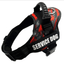 Explosion-Proof Chest Harness Pet Leash - Dog Hugs Cat