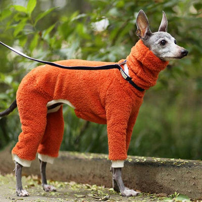 Warm And Fashionable Dog Cotton Clothes - Dog Hugs Cat