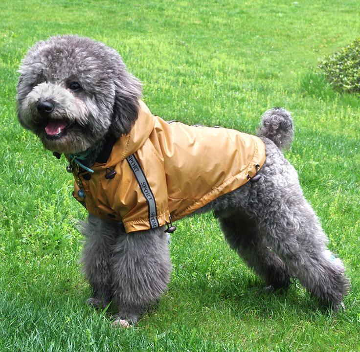 Waterproof Hooded Warm Pet Dog Raincoat - Dog Hugs Cat