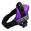 Explosion-Proof Chest Harness Pet Leash - Dog Hugs Cat