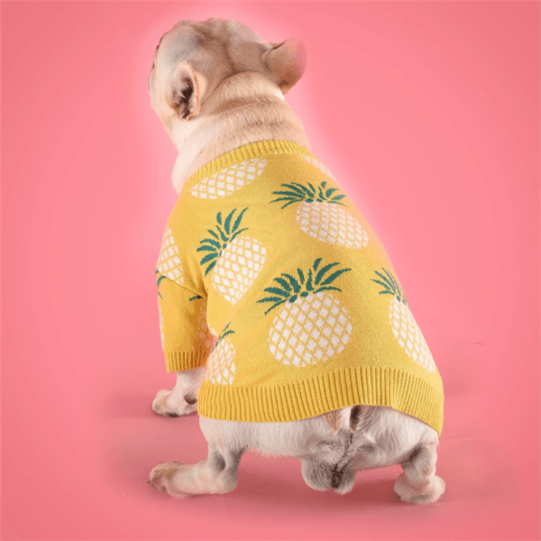 Pineapple Sweater - Dog Hugs Cat