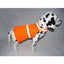 Fluorescent Safety Dog Vest - Dog Hugs Cat