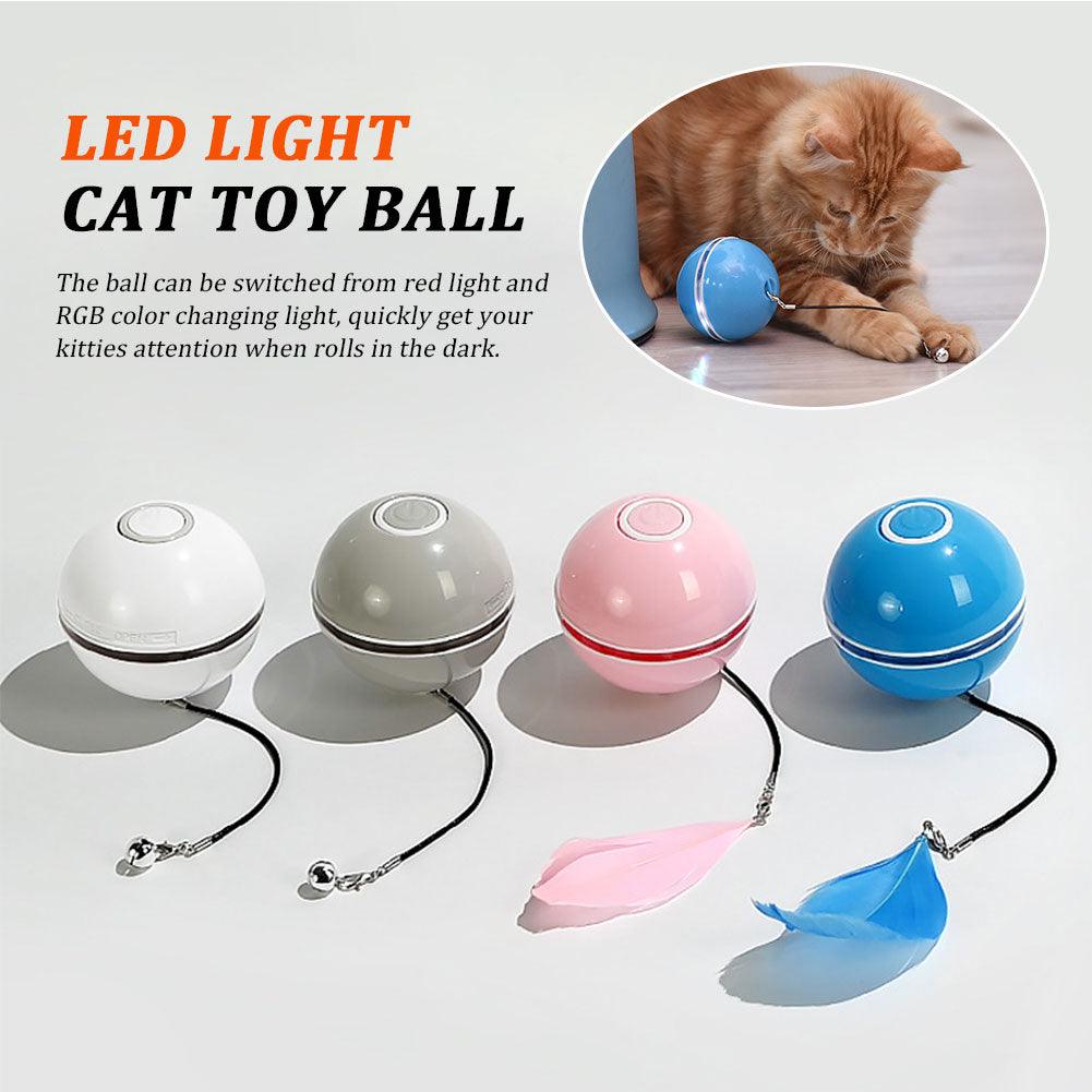 Colorful Led Laser Funny Cat Ball - Dog Hugs Cat