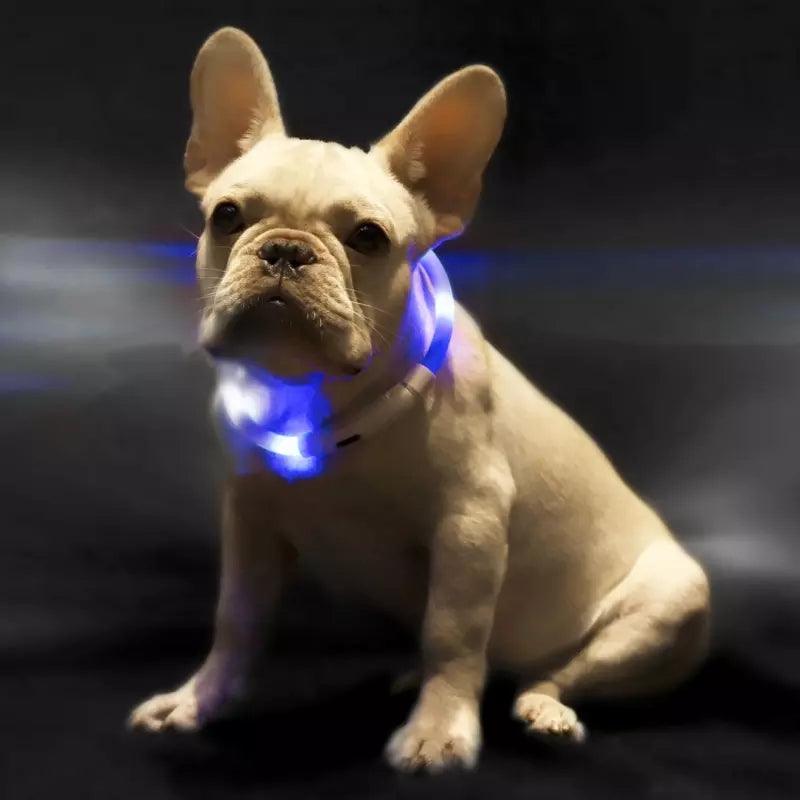 Pet Light Collar Anti-Lost Collar For Dogs Pet Collars - Dog Hugs Cat