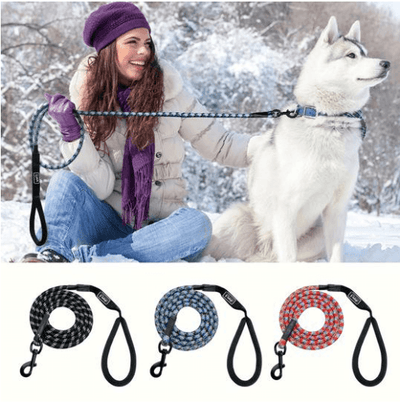 Small, Medium And Large Dogs Climbing Ropes - Dog Hugs Cat