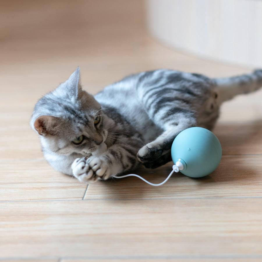 Funny Cat Electric Cat Toy - Dog Hugs Cat