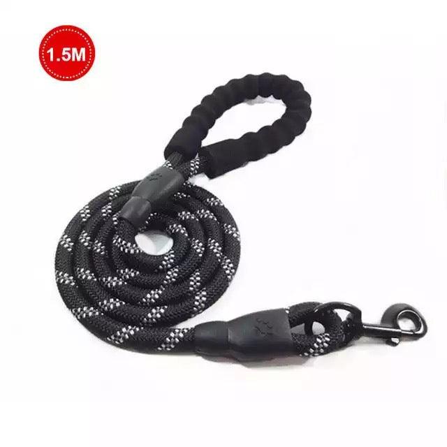 Small Medium Sized Pet Dog Luminous Leash Chain Puppies - Dog Hugs Cat