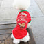 Pet Clothes Teddy Clothes - Dog Hugs Cat