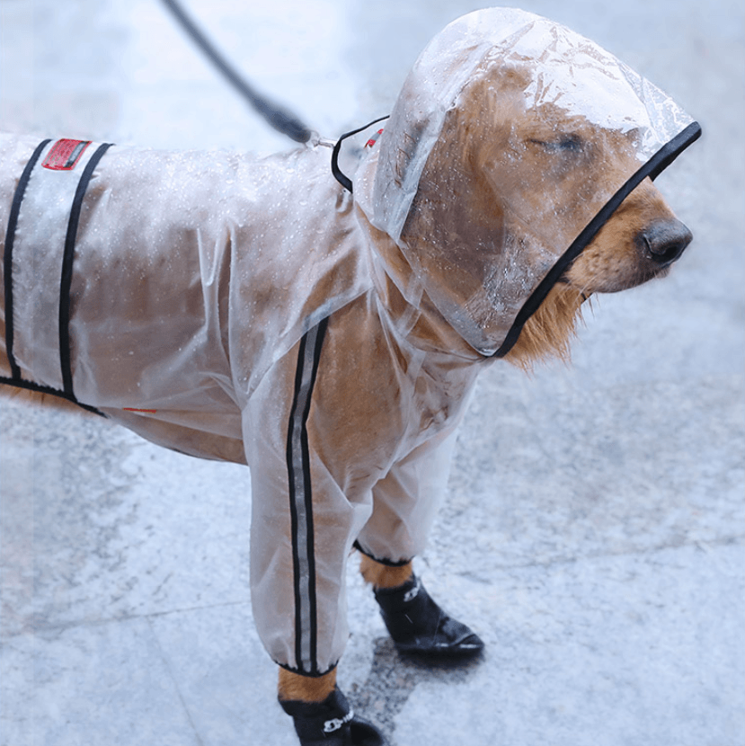 Large Dogs Go Out Waterproof Raincoat - Dog Hugs Cat