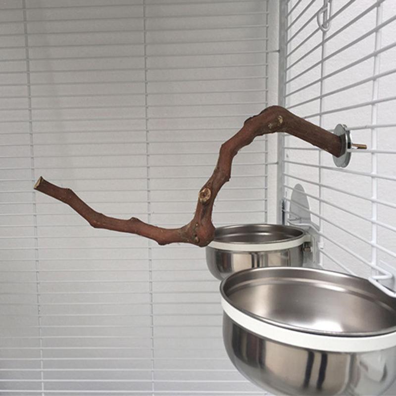 Bird Standing Stick Wild Grape Wood Grinding Claw Stick Perching Stick - Dog Hugs Cat